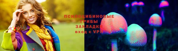 а пвп мука Алзамай