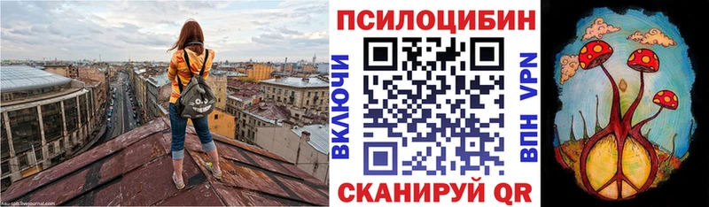 купить   Ардон  Псилоцибиновые грибы Cubensis 